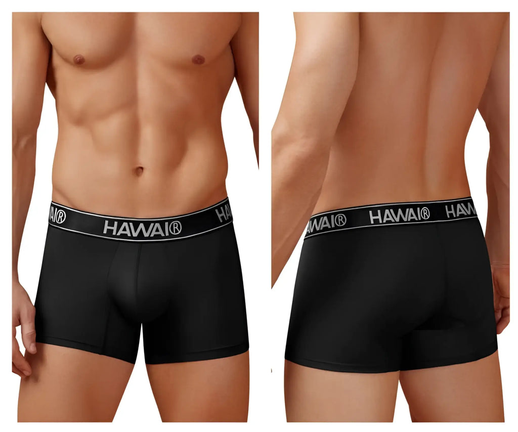Black microfiber men’s briefs with a white hawaii logo waistband in the hawai 41977 trunks style