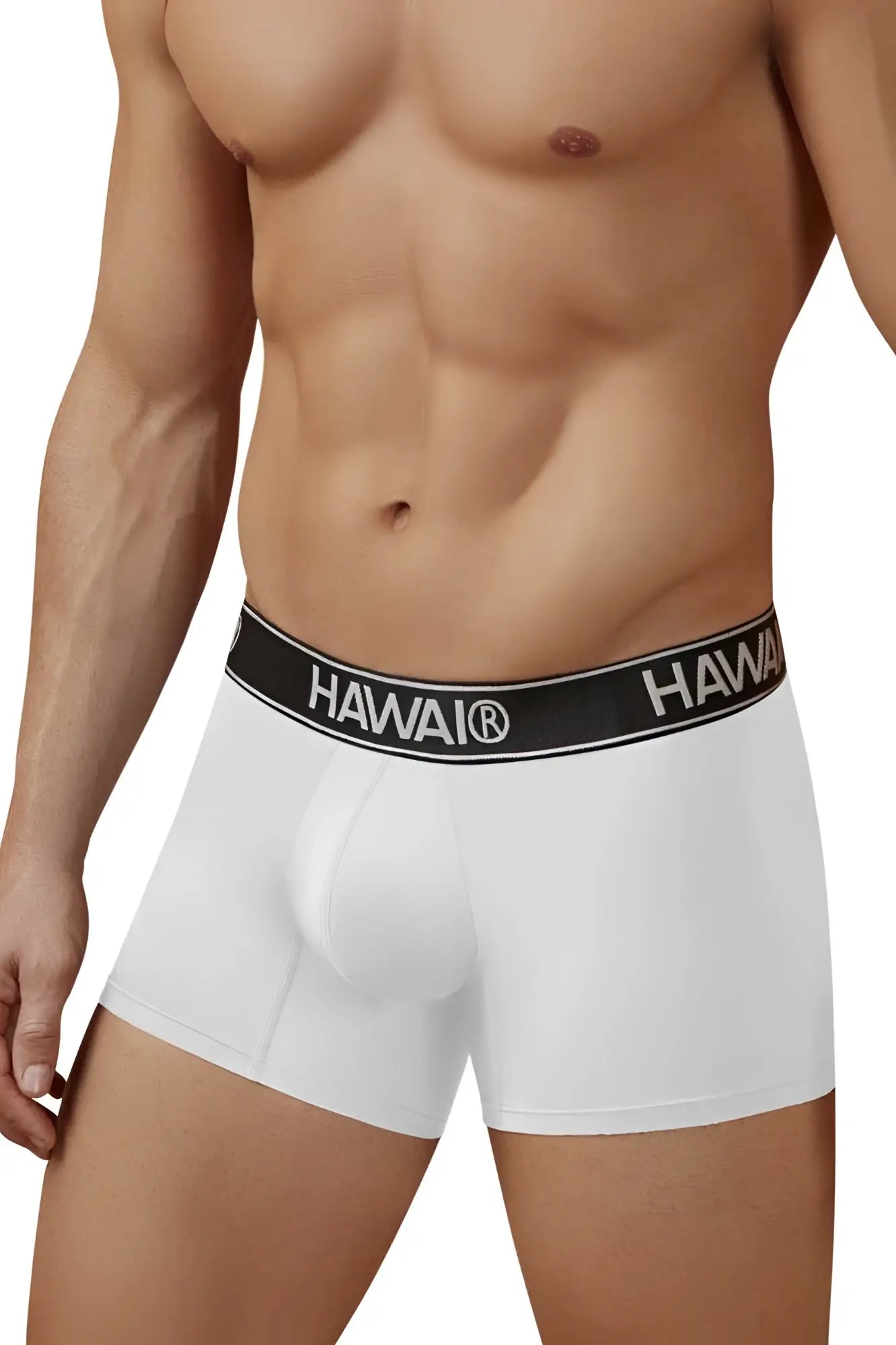 White hawaii microfiber trunks with black elastic waistband branded in white lettering in color white 01
