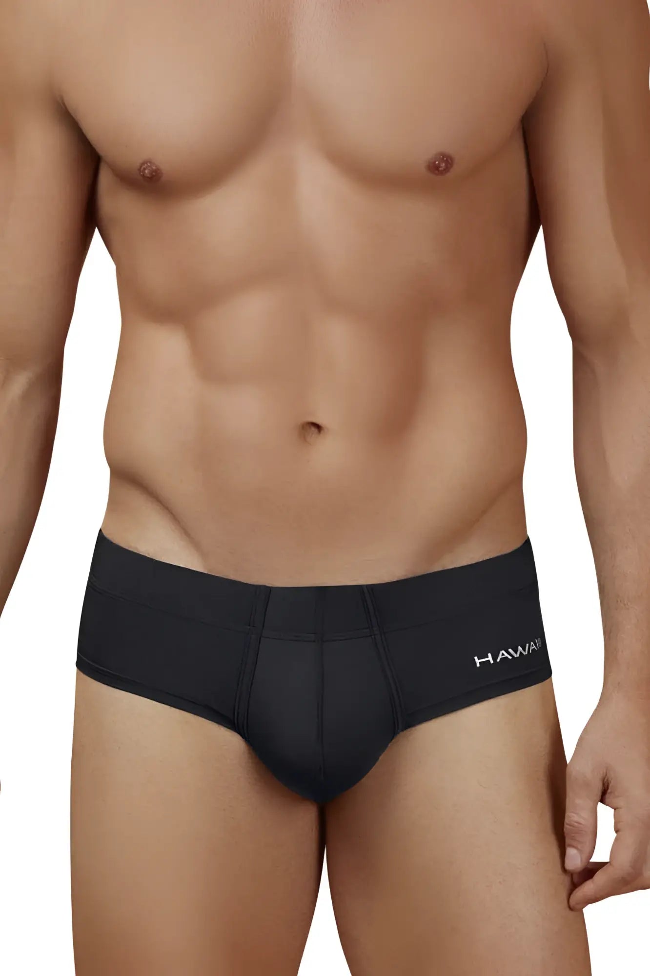 Black hawaii microfiber briefs in black with a smooth form fitting design for comfortable everyday wear