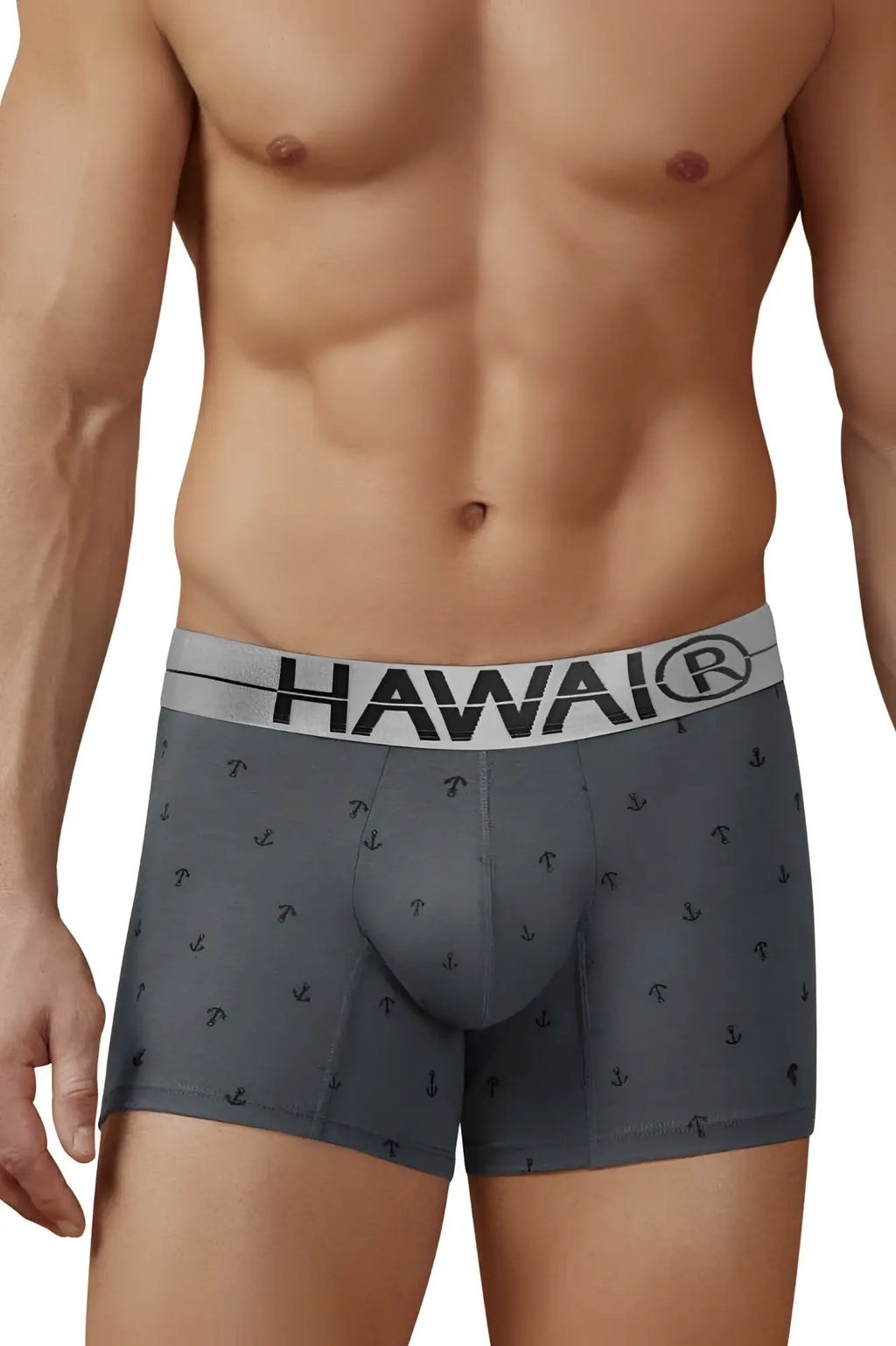 Gray cotton blend boxer briefs with black anchor pattern and white hawaii® logo waistband hauai 42521 trunks