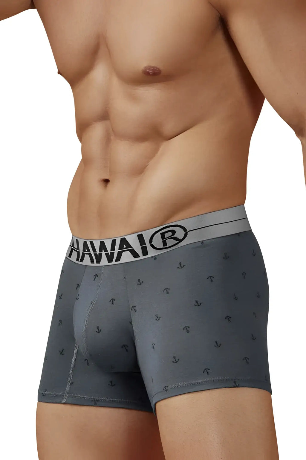 Gray hawaiian boxer briefs cotton blend with subtle anchor pattern and white waistband featuring brand logo