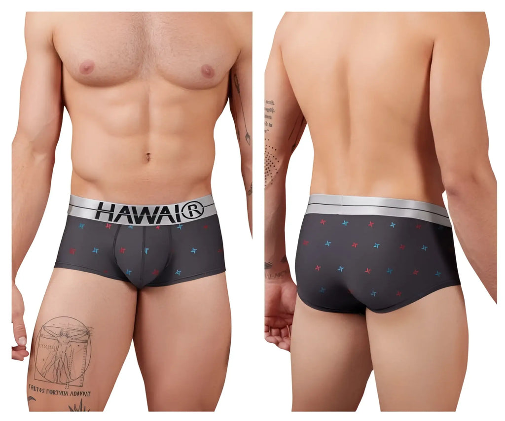Black Hawai 42530 printed microfiber boxer briefs in gray with silver waistband and subtle red and blue star patterns