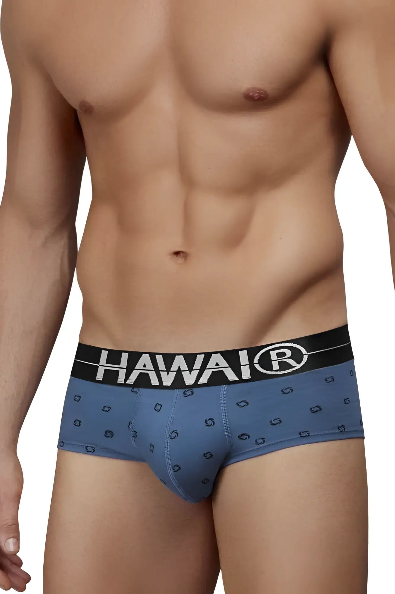 Blue hawaiian men’s briefs in cotton blend with black waistband and white hawaii logo in blue quartz color