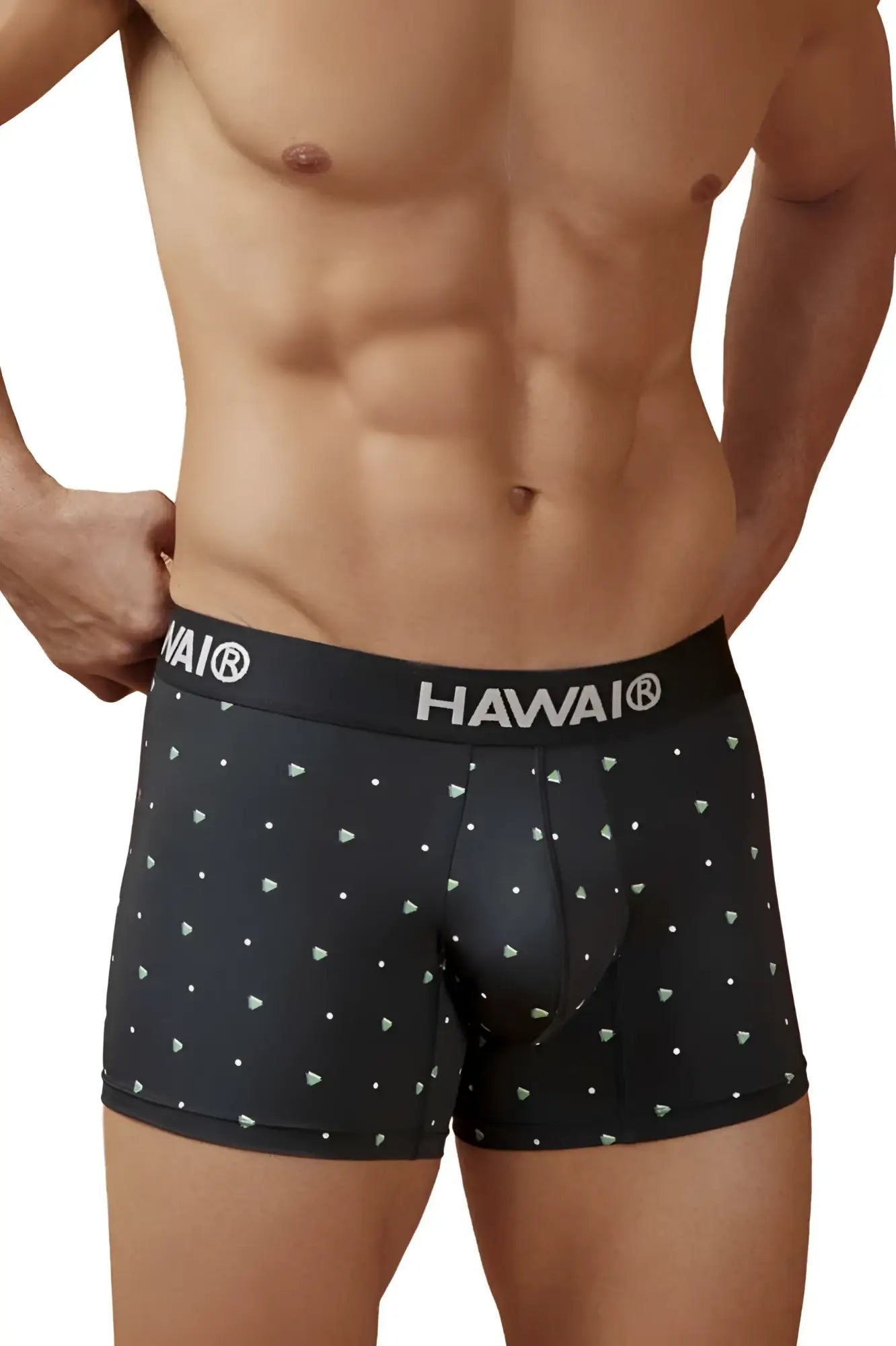 Black hawai 42570 microfiber boxer briefs in black with subtle white triangle and dot pattern