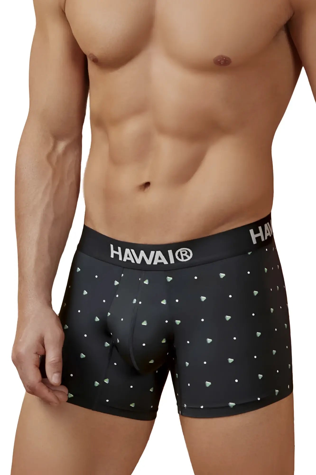 Black hawaiian men’s microfiber boxer briefs in black with white triangle and dot pattern and hawai brand waistband