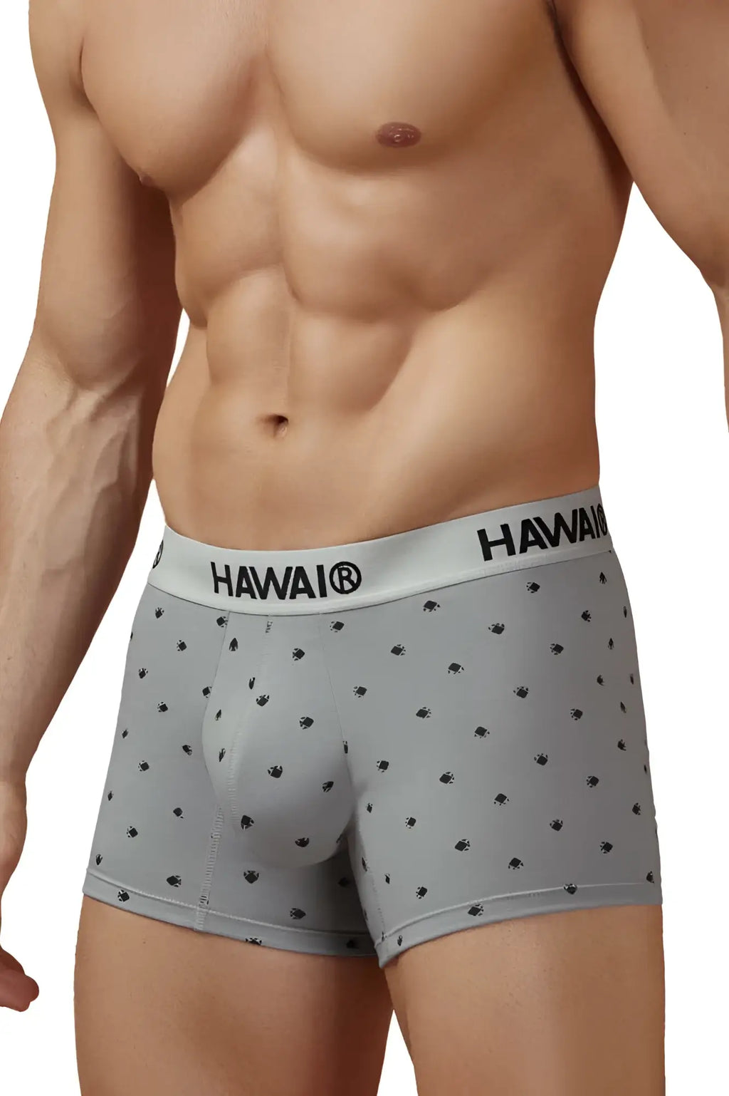 Gray hawai boxer briefs with a subtle black palm tree pattern and branded elastic waistband in cotton blend