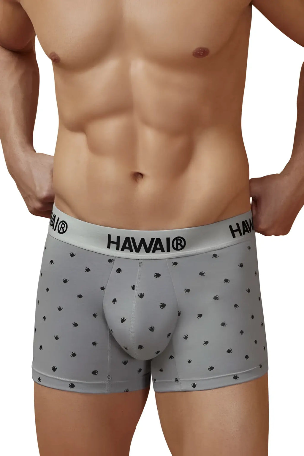Gray hawaiian men’s cotton blend boxer briefs with black palm tree prints and a branded waistband