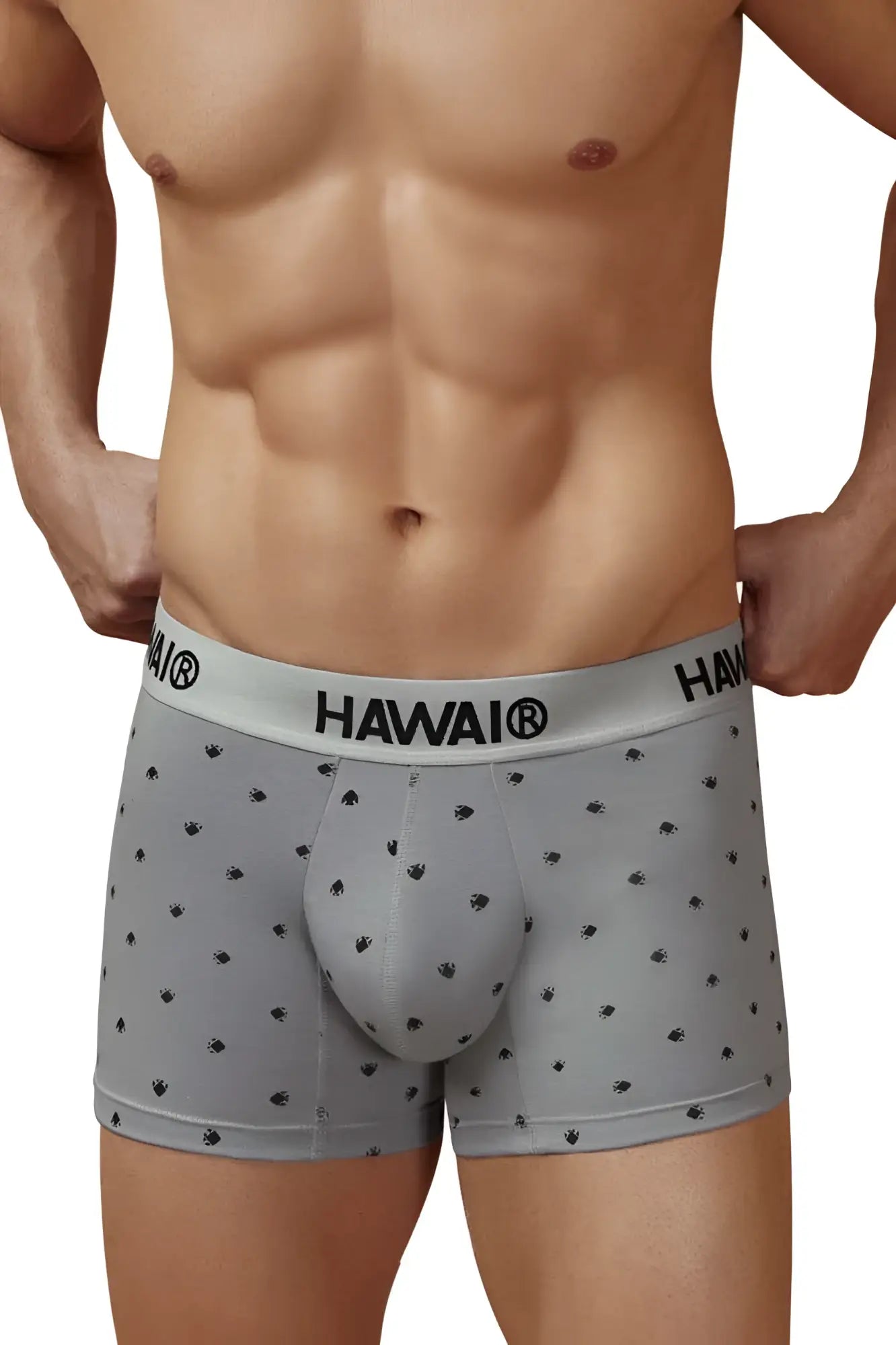 Gray hawaiian men’s cotton blend boxer briefs with black palm tree prints and a branded waistband
