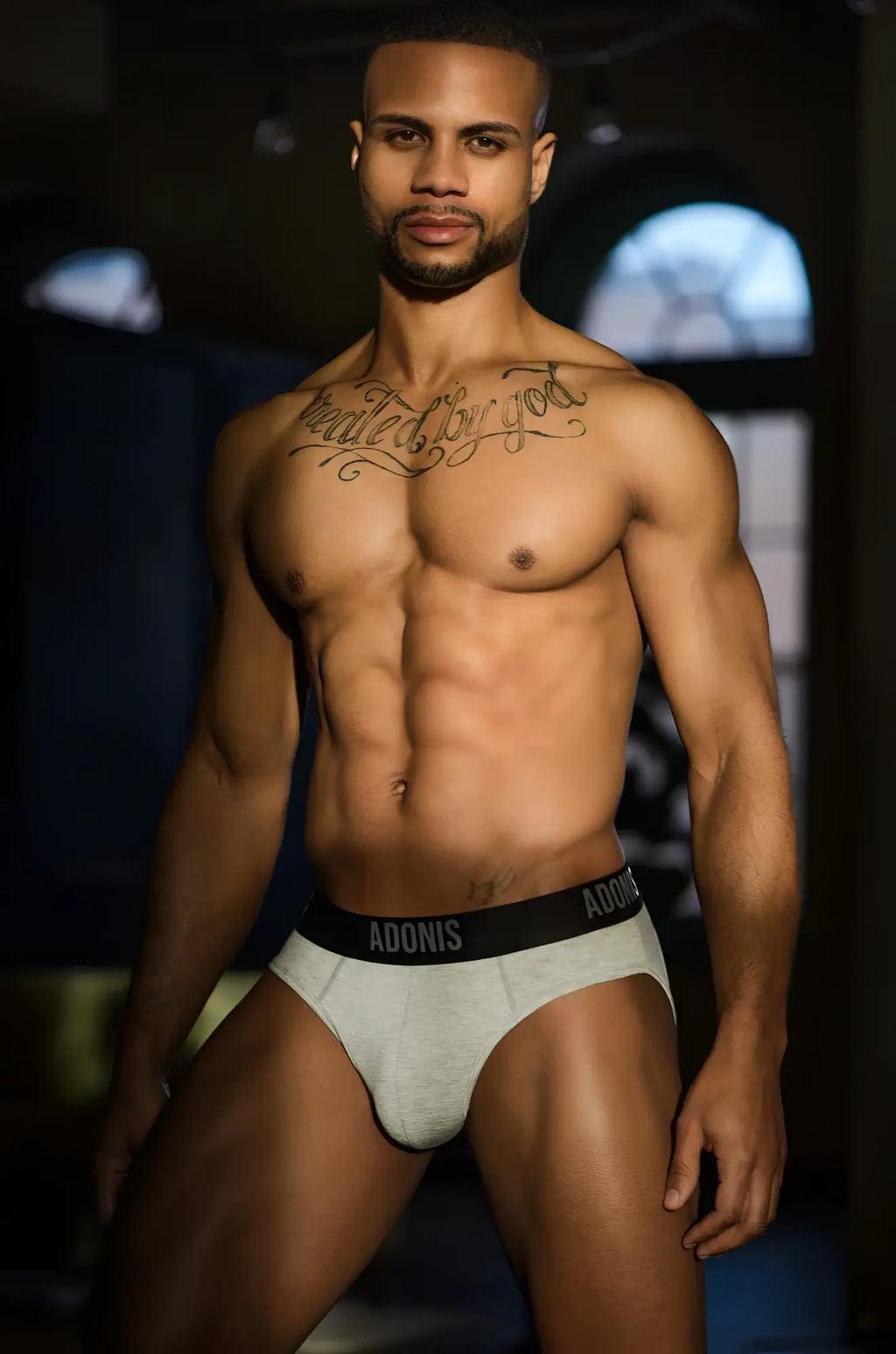Heather grey bottomless briefs made of cotton with a black elastic waistband featuring the adonis brand name