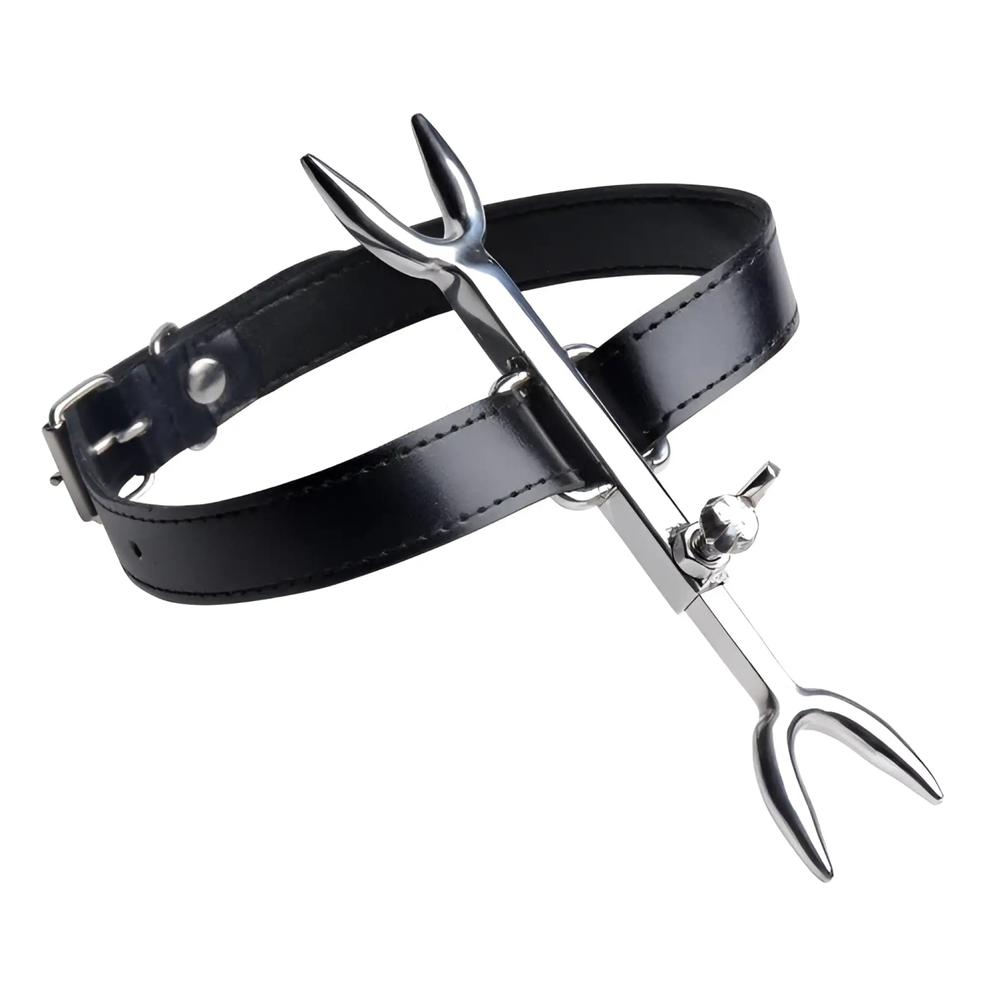 Black leather collar with silver metal clamp attachment designed as heretics fork restraint accessory