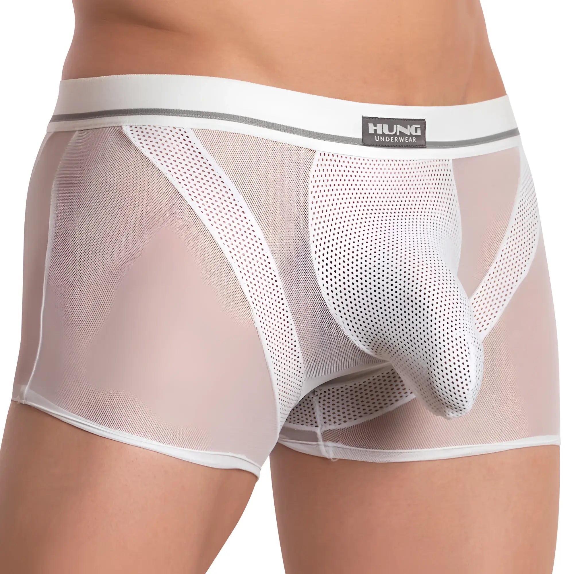 White mesh briefs with gray stripe and hung underwear label on waistband from hung hgg011 boxer trunk collection