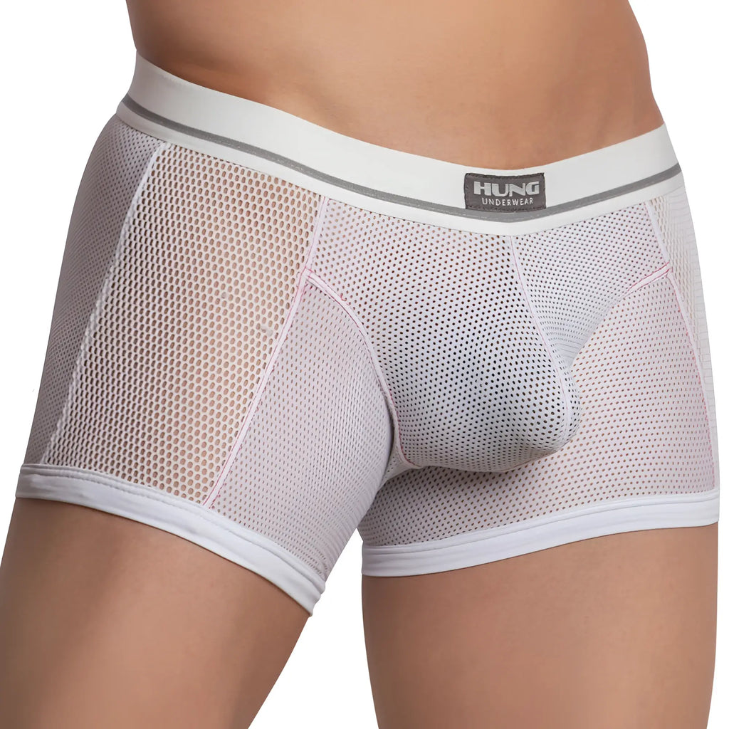 Hung hgg012 boxer trunk white mesh briefs with subtle pink trim and hung underwear brand label on the waistband