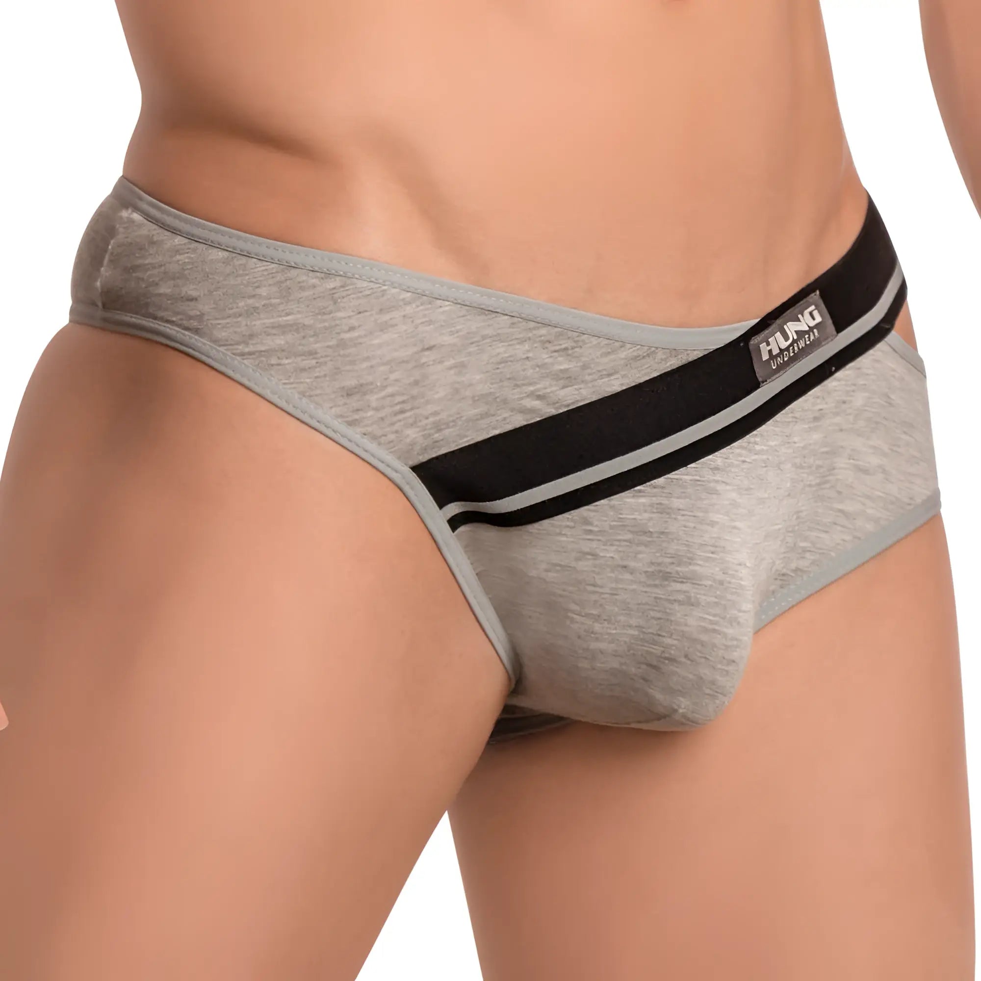 Gray heathered hung hgJ014 brief with black waistband featuring two thin gray stripes and hung brand label