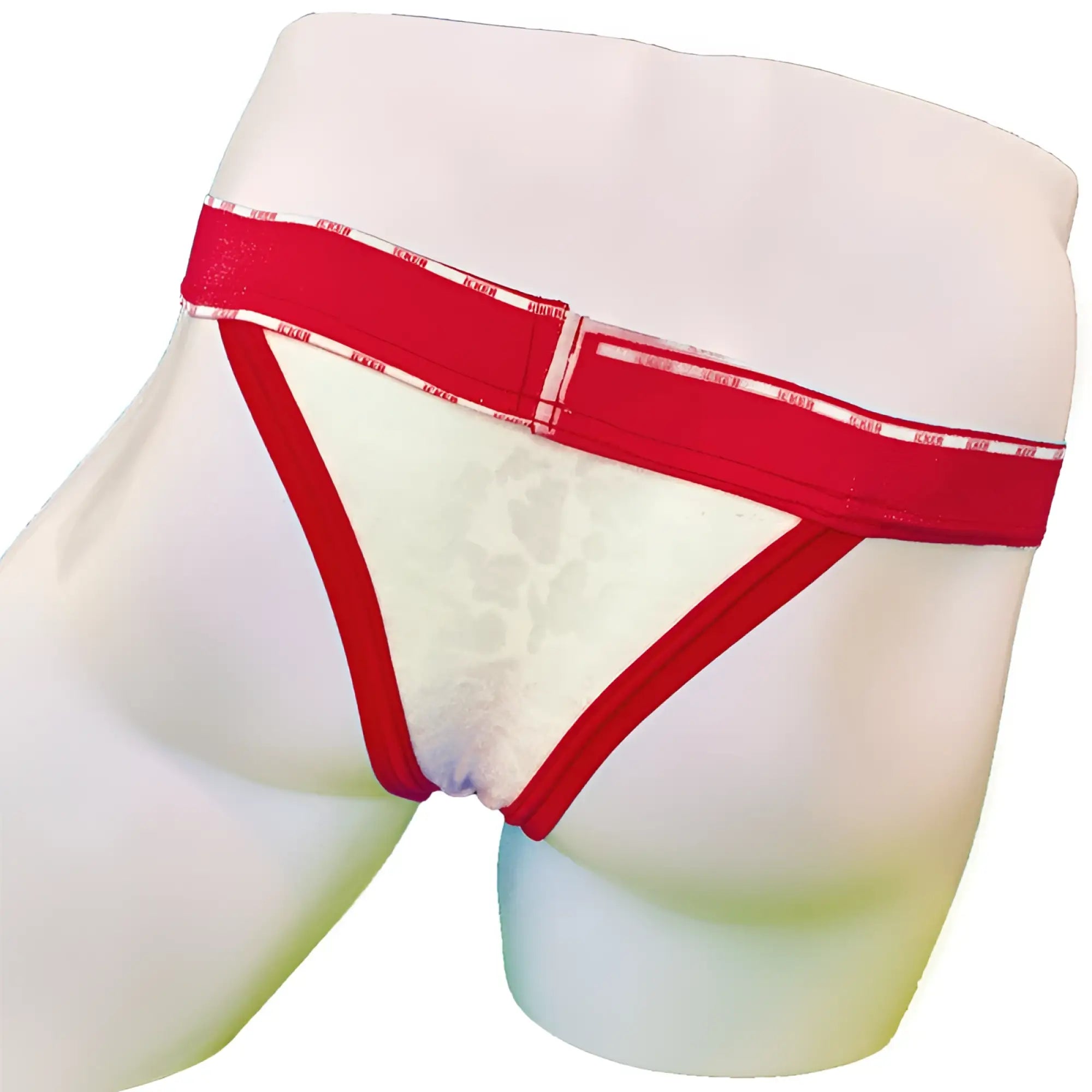 Icker sea acid mesh piping cheeky tanga bikini underwear in red with white lace trim and bold red waistband text