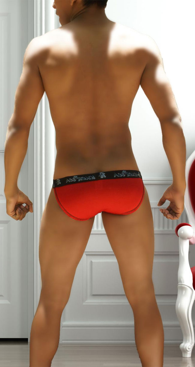 Icker Sea Contrast Microslip Bikini Underwear Red/Black COI-13-18