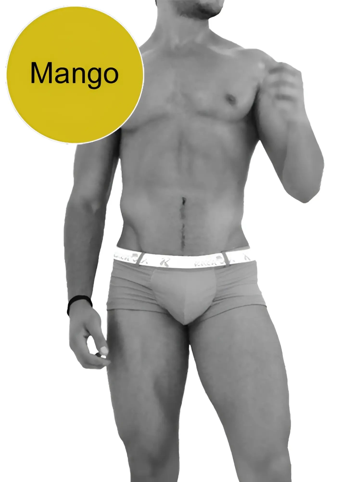 Gray cotton briefs with white elastic waistband featuring mango logo from icker sea sailor belted trunk swimwear