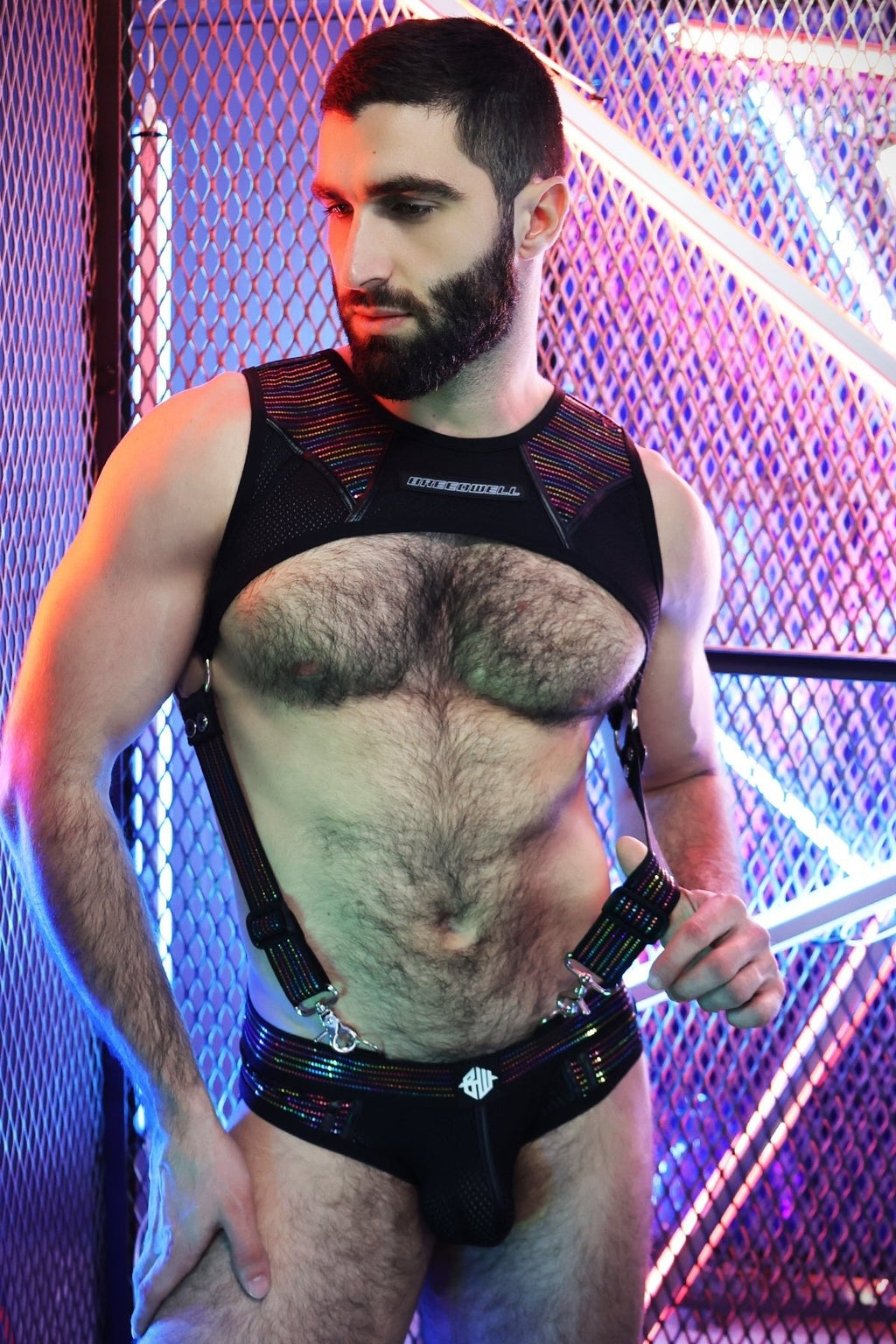 Breedwell Gay Men's Icon Pride Tank Harness