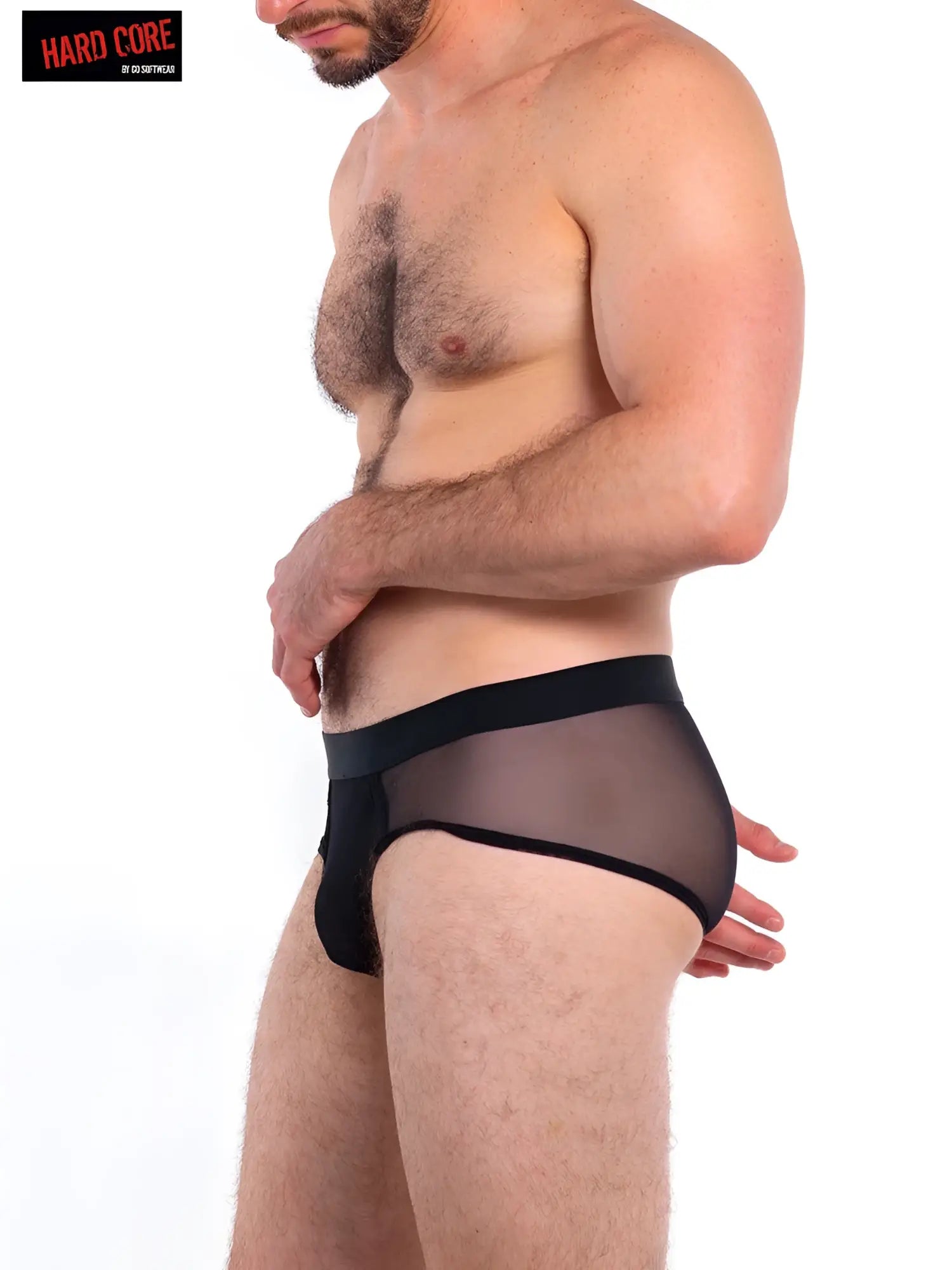 Black sheer mesh briefs with a solid black waistband from intimates brief collection front view