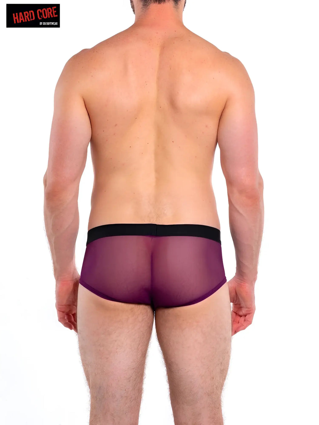 Intimates brief purple sheer mesh briefs with black elastic waistband front view for comfortable everyday wear
