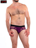 Purple sheer mesh briefs with black elastic waistband in intimates brief for comfortable everyday wear