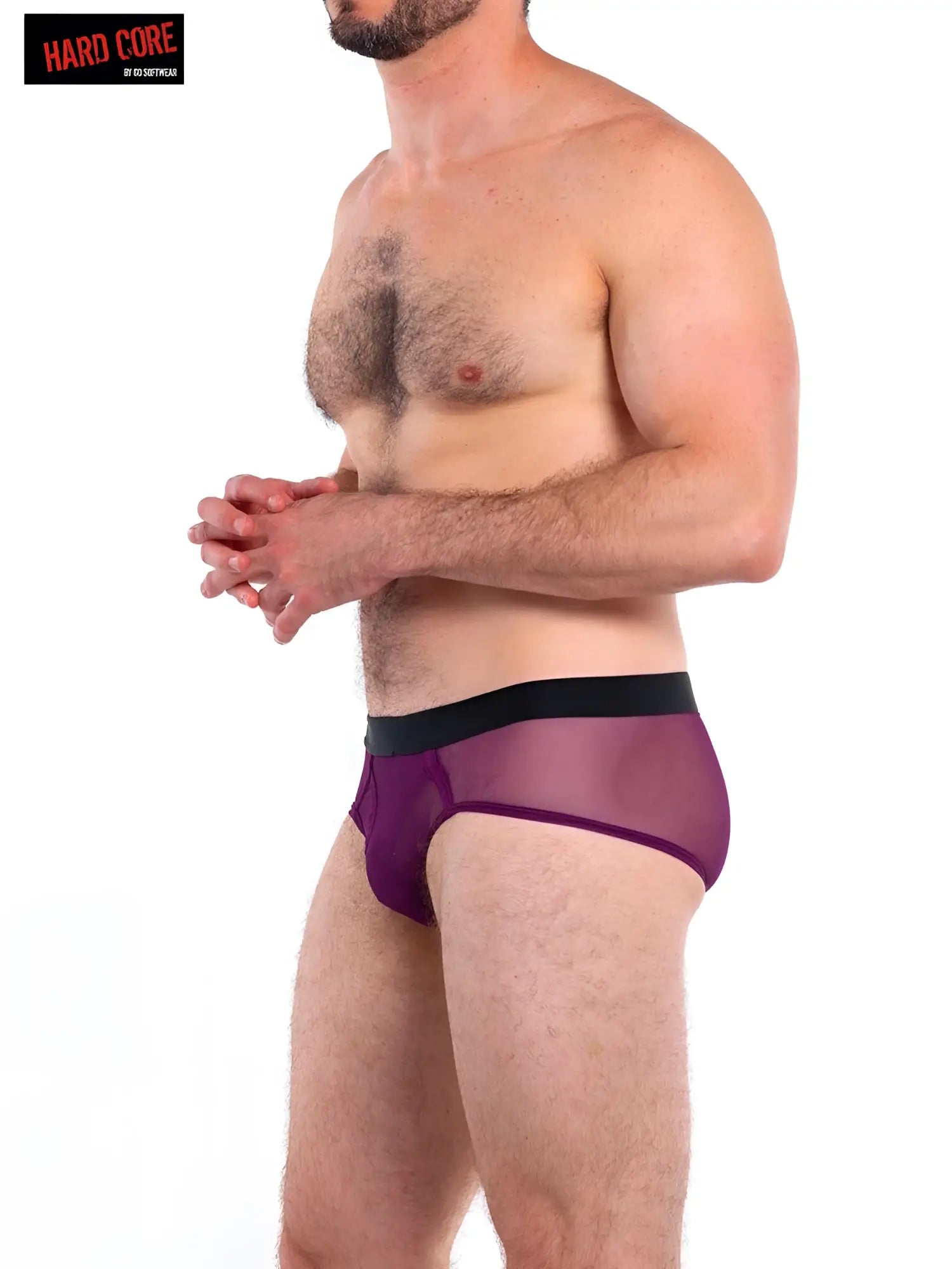 Purple sheer mesh briefs with black waistband in a breathable intimate brief design