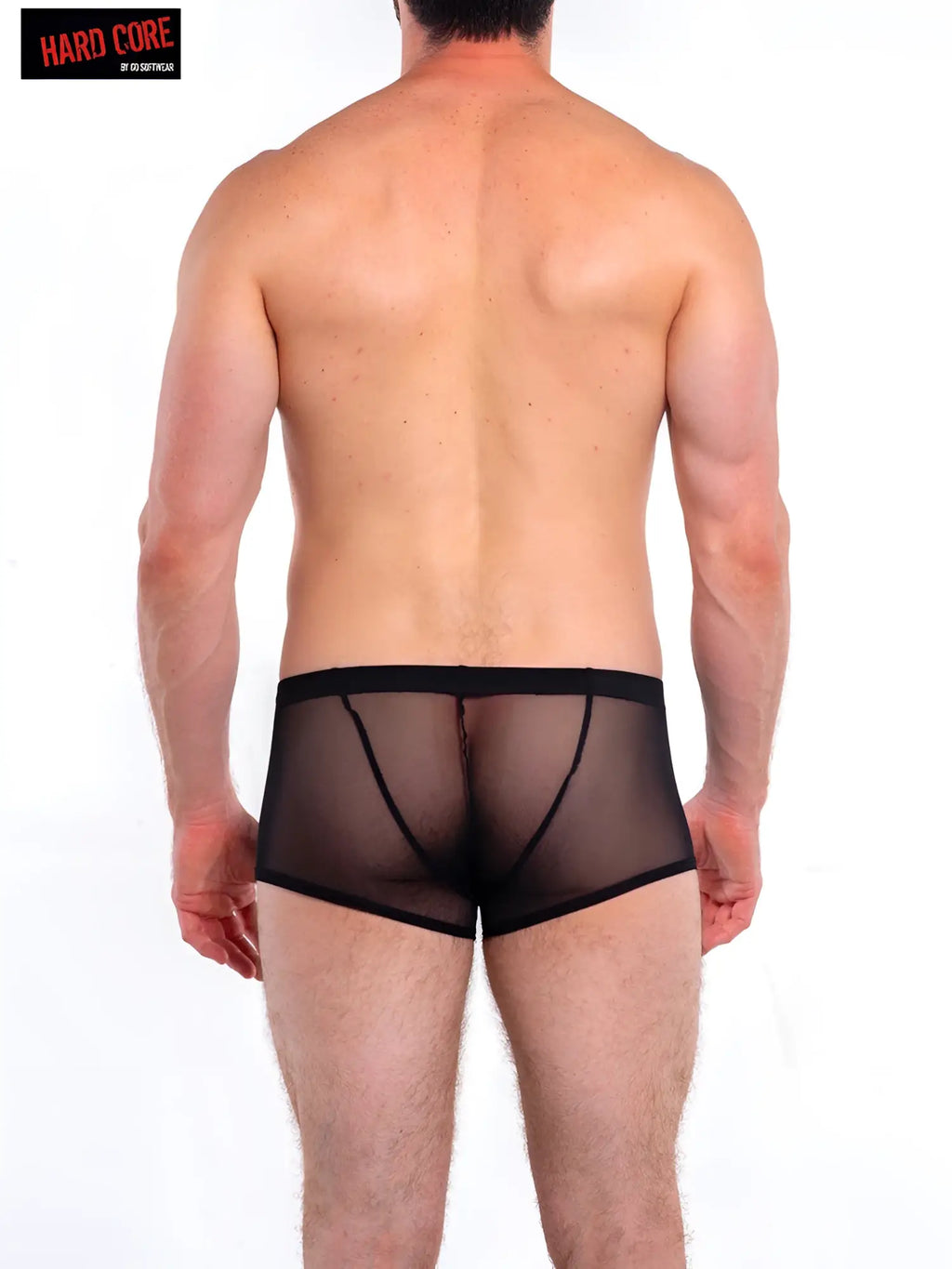 Black sheer mesh briefs with black elastic waistband and reinforced seams from intimates trunk collection