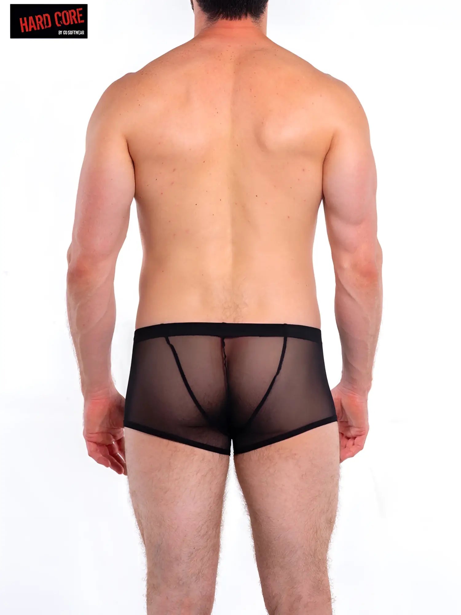 Black sheer mesh briefs with black elastic waistband and reinforced seams from intimates trunk collection