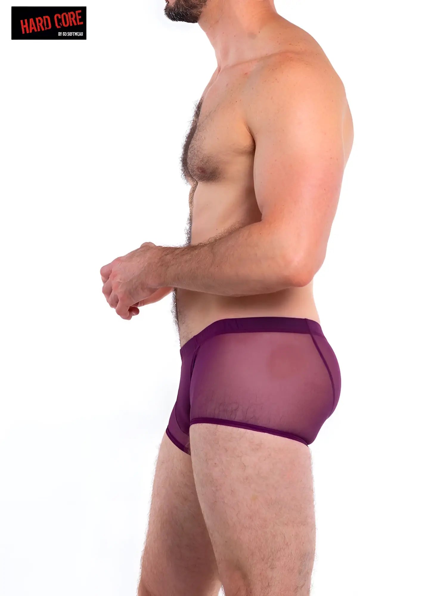 Purple sheer mesh briefs with a solid purple waistband from intimates trunk front view