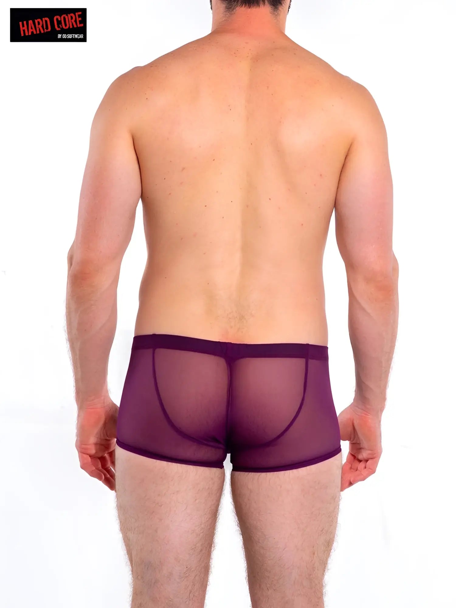 Purple sheer mesh briefs with a solid waistband from intimates trunk for comfortable stylish underwear