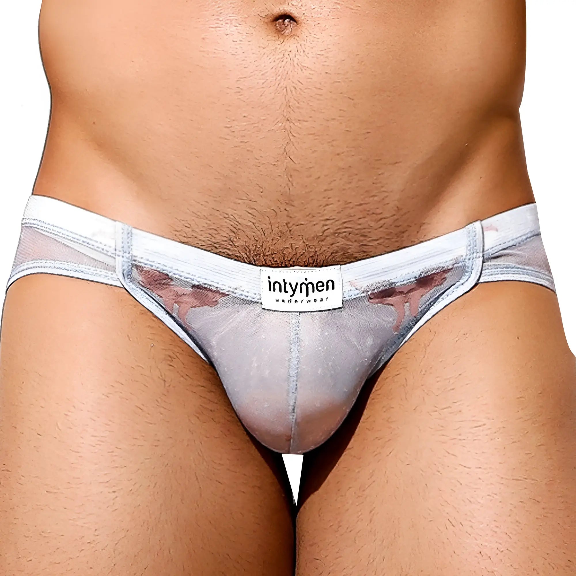 Intymen INJ073 brief transparent gray mesh with white waistband and subtle pinkish red patterned accents