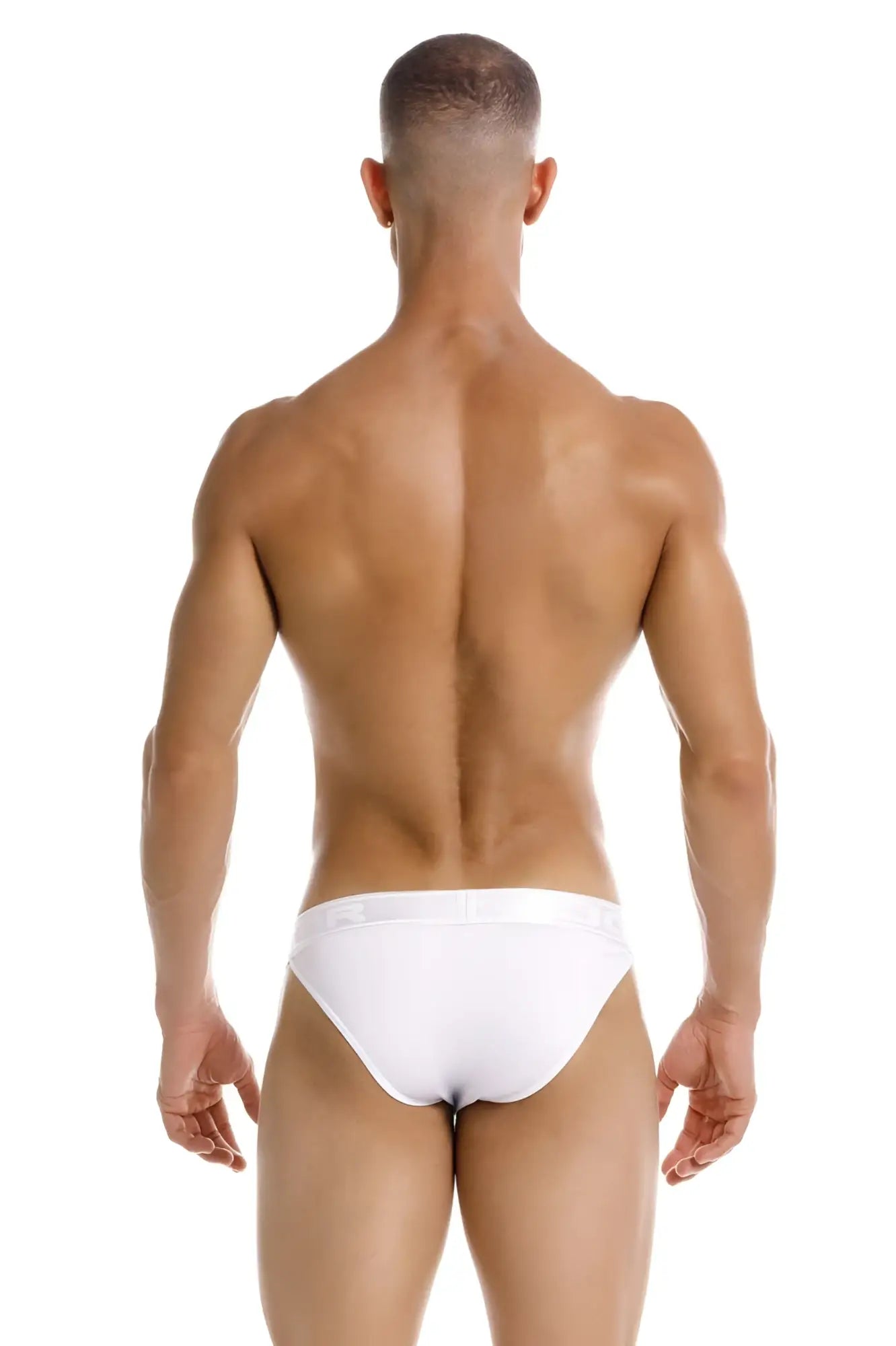 White briefs jor 2142 element bikini in smooth form-fitting design perfect for comfortable everyday wear