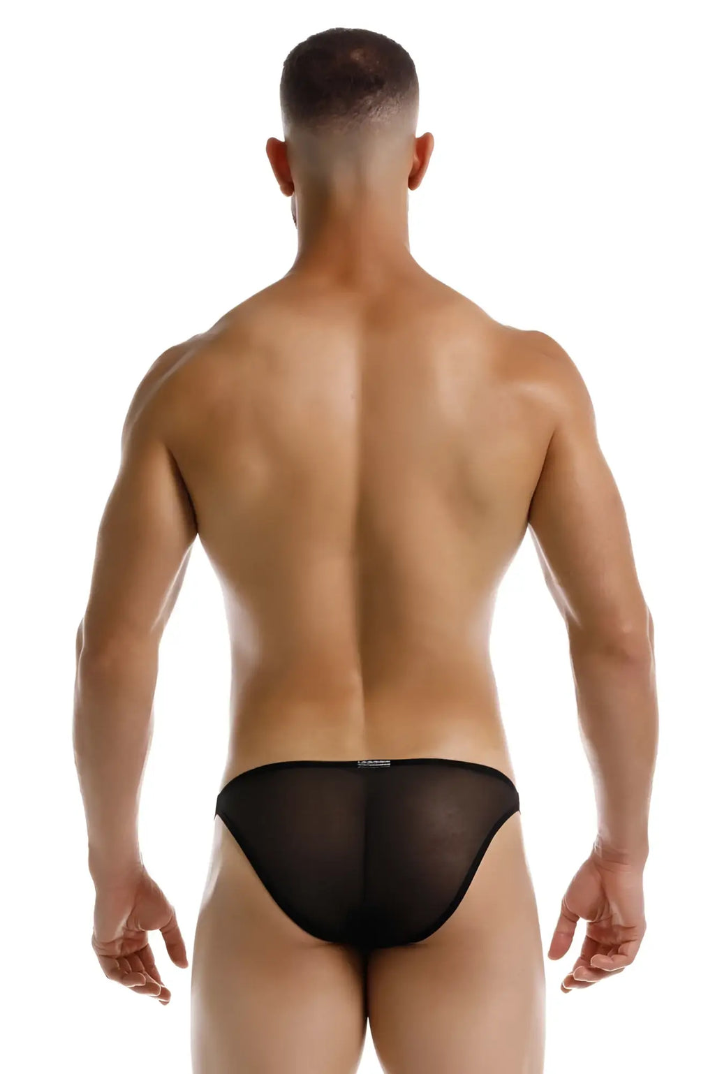 Black sheer mesh briefs jor 2236 frost bikini in black showing front view with delicate see-through fabric