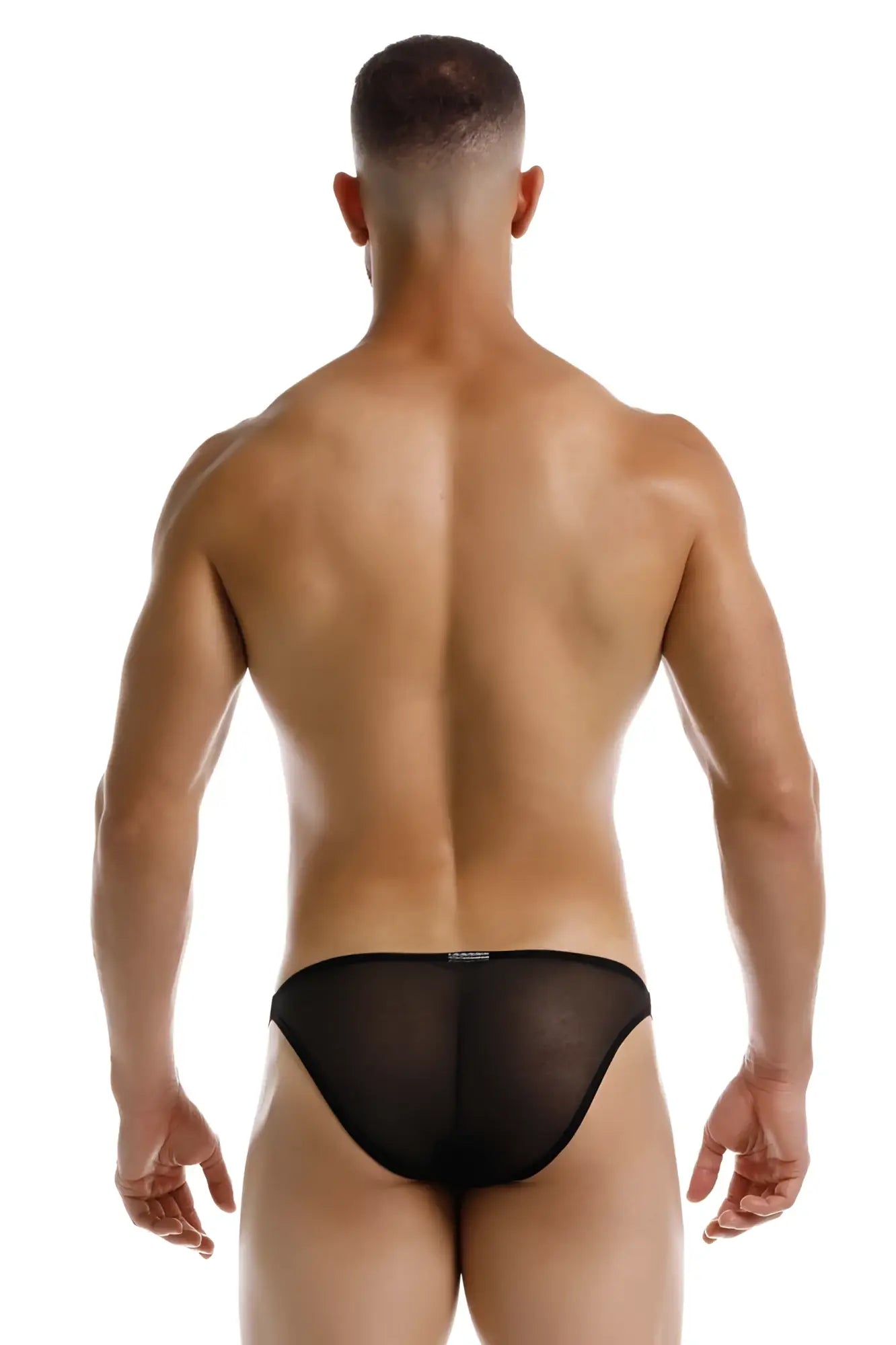 Black sheer mesh briefs jor 2236 frost bikini in black showing front view with delicate see-through fabric