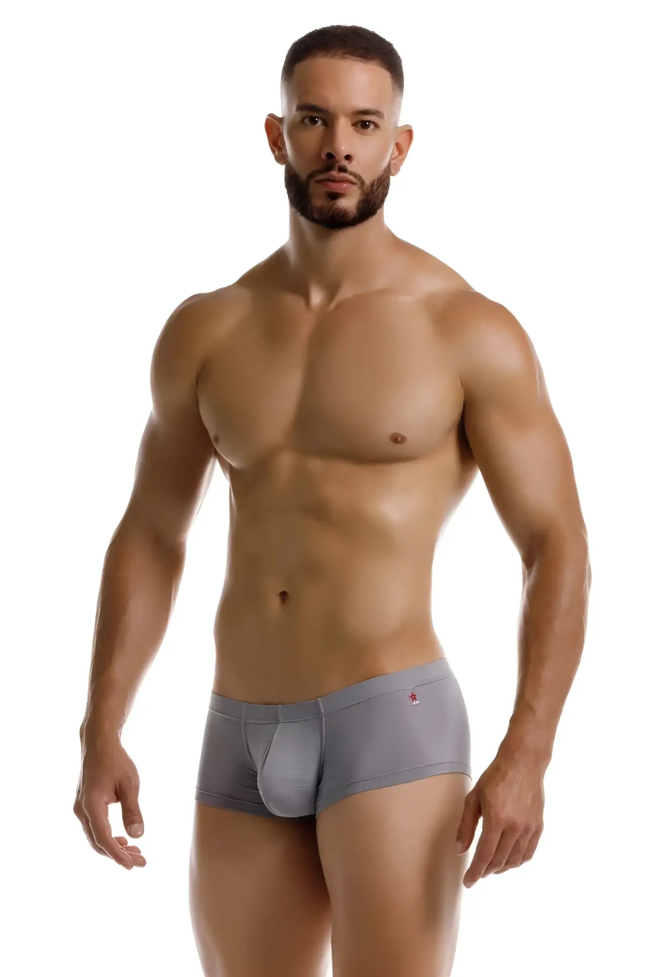 Gray jor 2246 cosmo trunks men’s briefs with a subtle red logo on the waistband in gray color