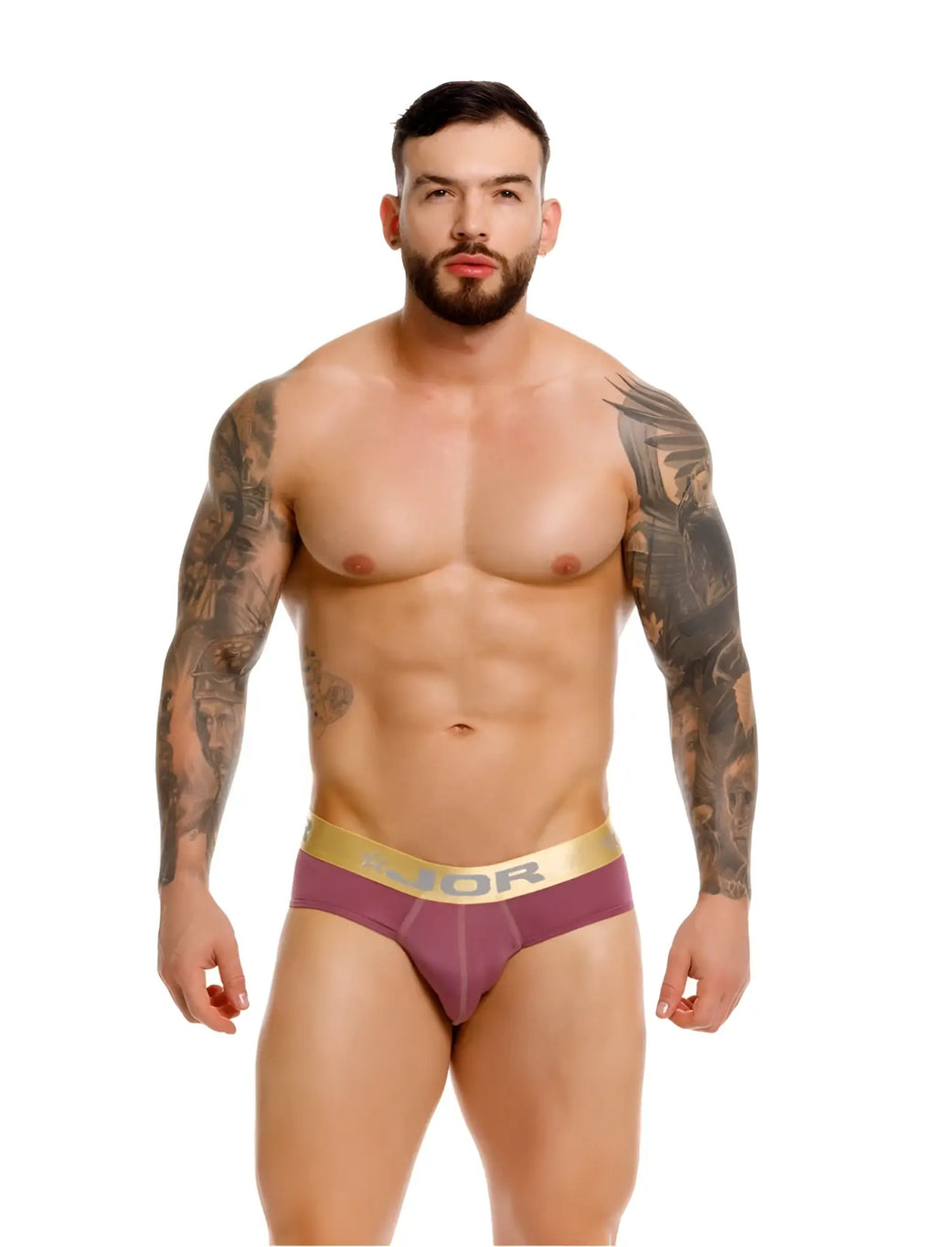 Purple soho briefs with gold dior logo waistband in wine color for stylish comfortable wear