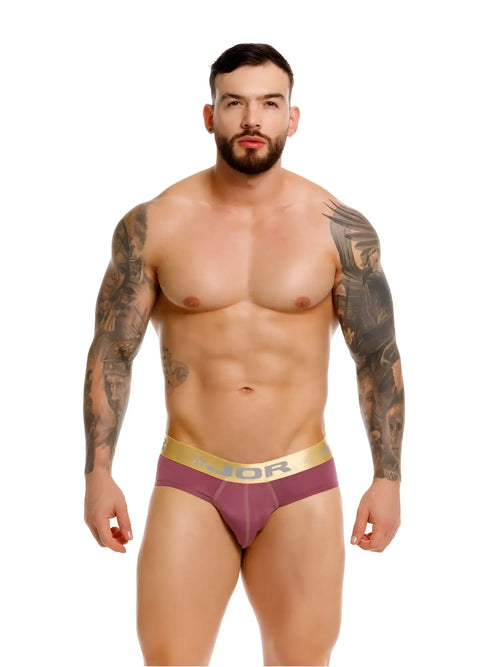 Purple soho briefs with gold dior logo waistband in wine color for stylish comfortable wear