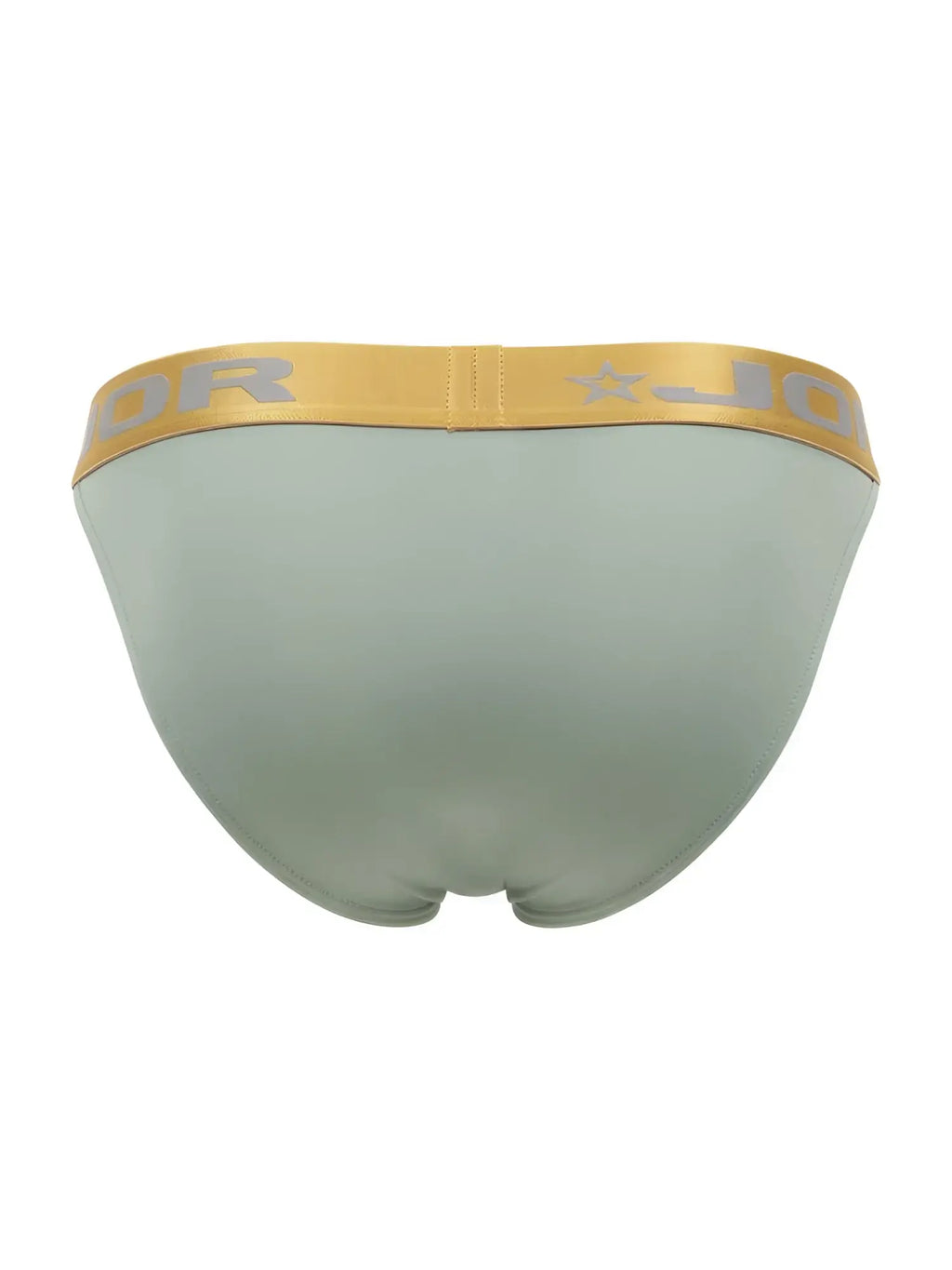 A sleek light green men’s brief with a gold waistband featuring the jordan logo in silver lettering jor 2328 soho bikini