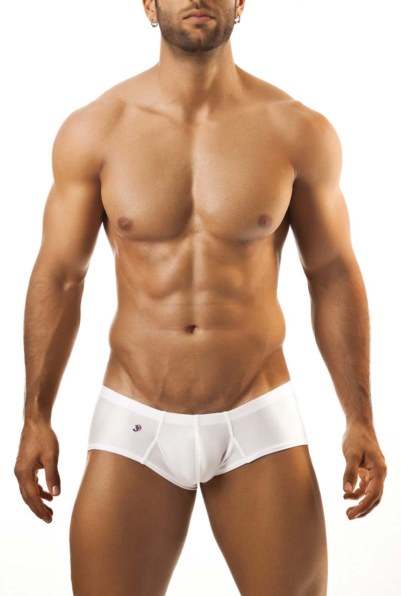 Joe Snyder Wangenboxer