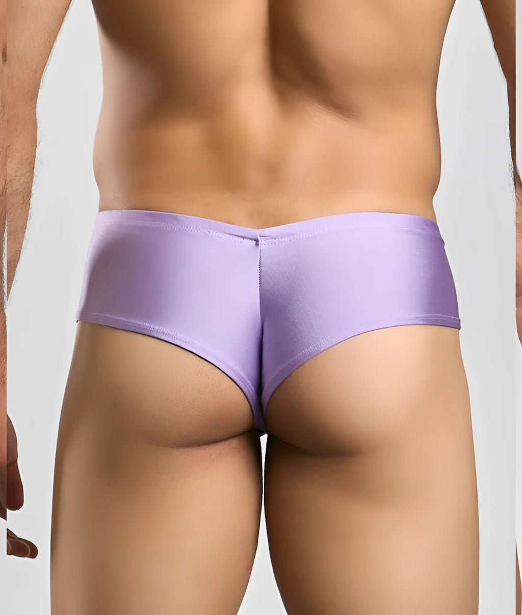Purple satin briefs with a smooth shiny finish and snug fit from Justin plus Simon cheek collection