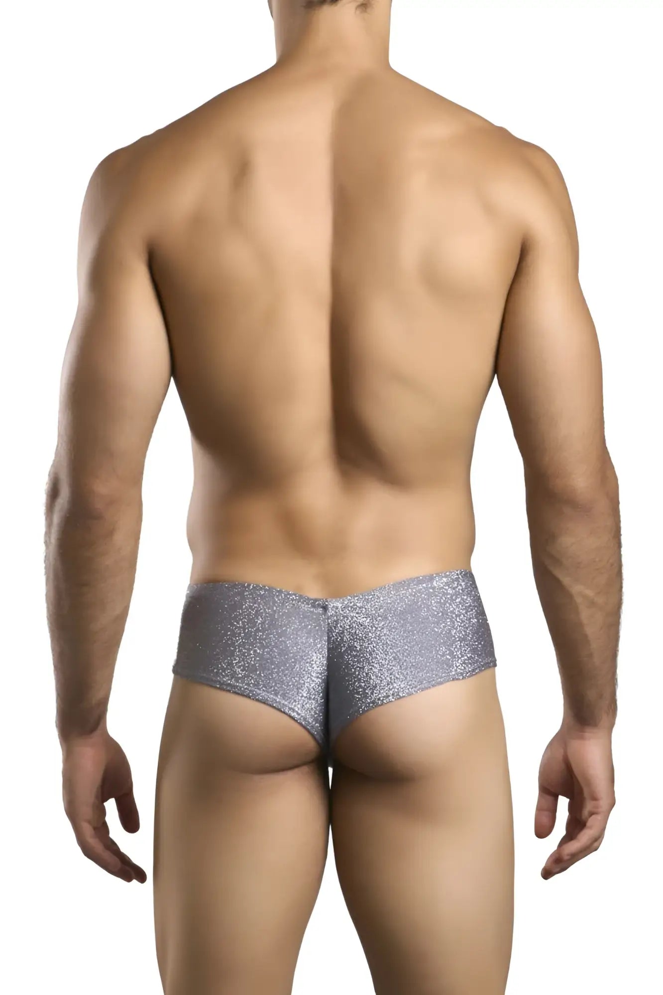 Shiny silver glitter cheek briefs in lurex gray by justin simon xsj22 with a sleek cheeky design