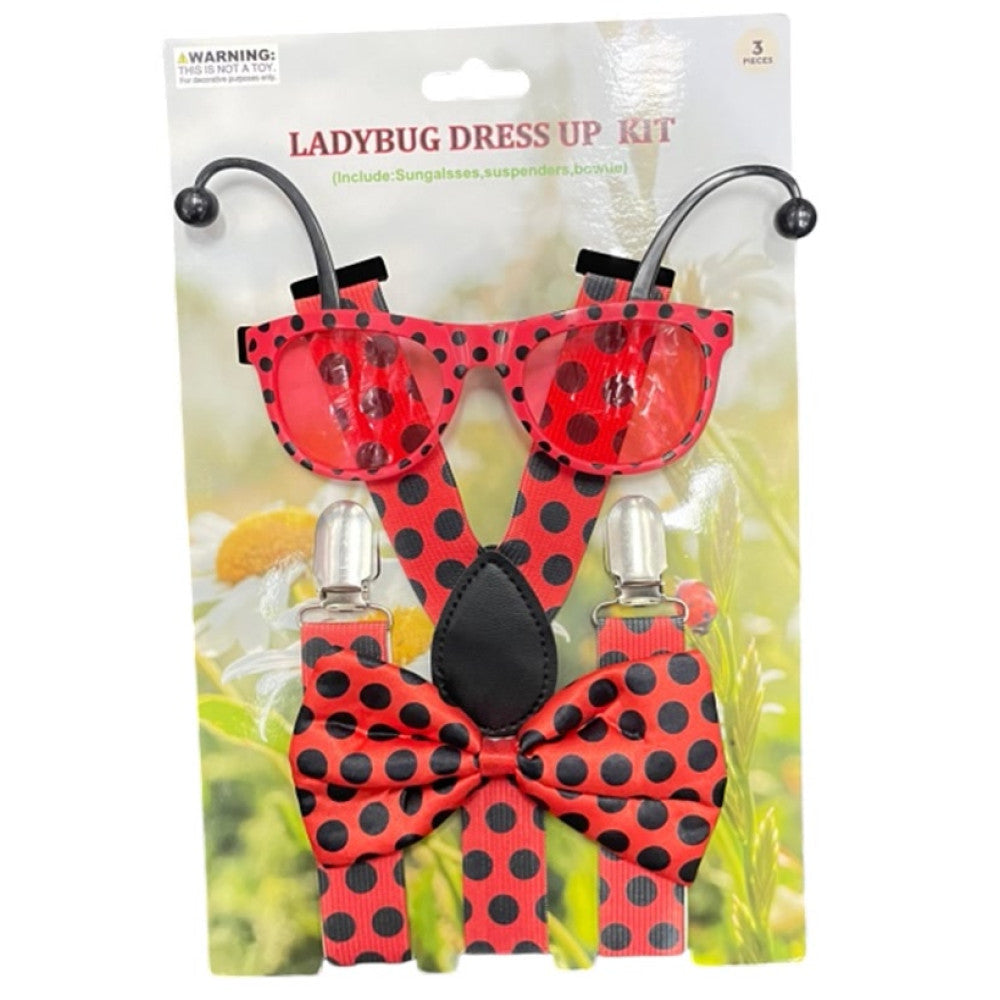 Ladybug Dress-Up Kit