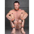 Kinky pride rainbow bondage set featuring rainbow-striped leather gear with metal chains and buckles for restraint play
