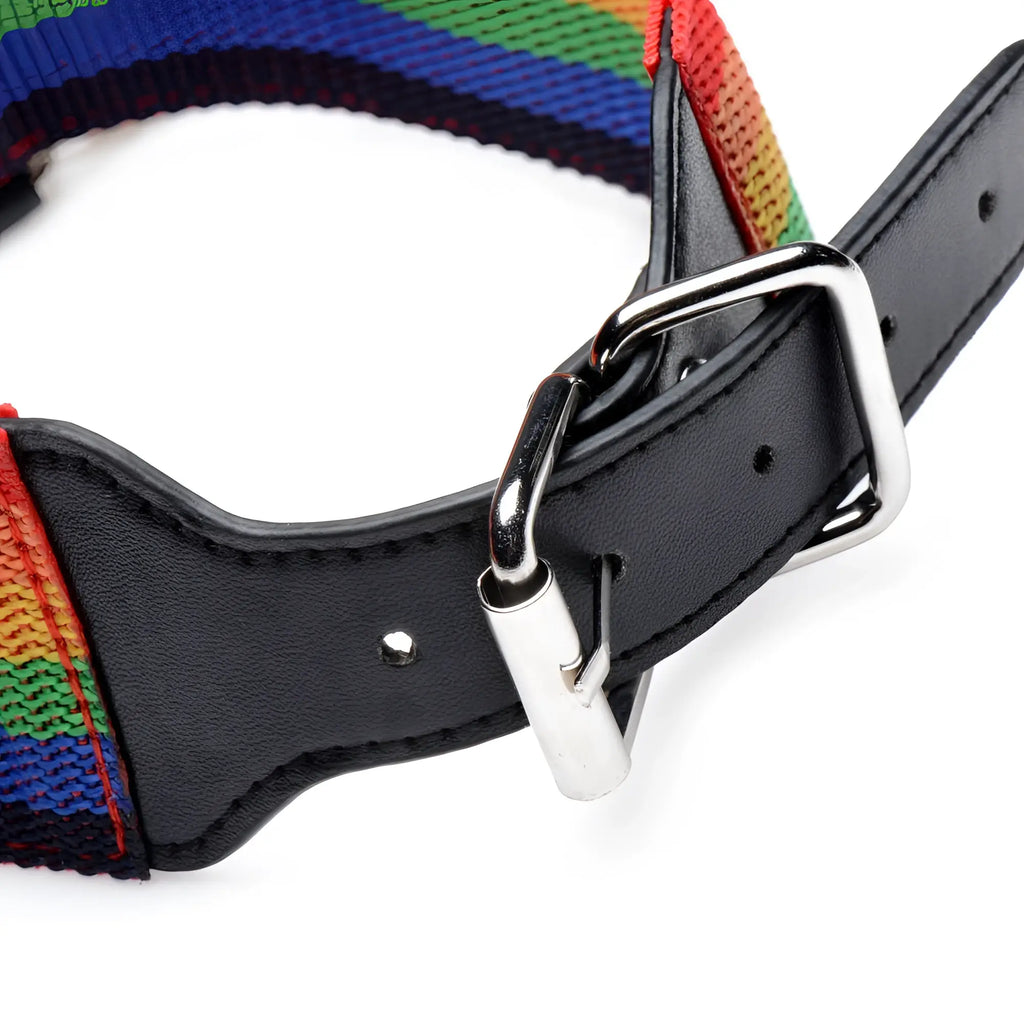 Rainbow-striped woven collar with black leather accents and silver buckle from kinky pride rainbow bondage set