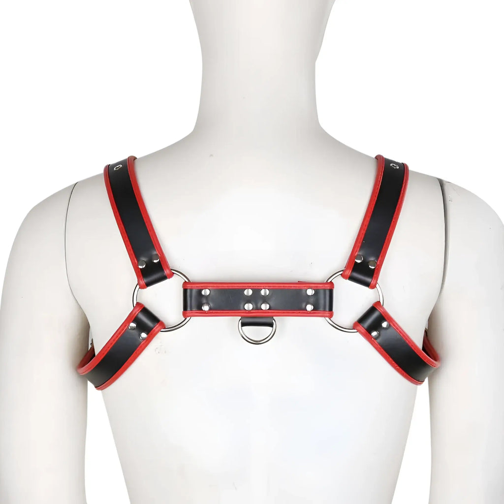 Black and red leather contrast trim harness with silver metal hardware for adjustable secure fit
