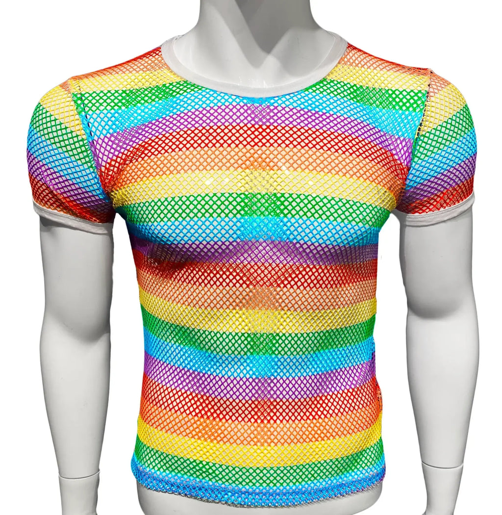 Rainbow stripe fine mesh tee short sleeve top with round neckline in rainbow-striped mesh fabric