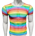 Rainbow stripe fine mesh tee short sleeve top with round neckline in rainbow-striped mesh fabric