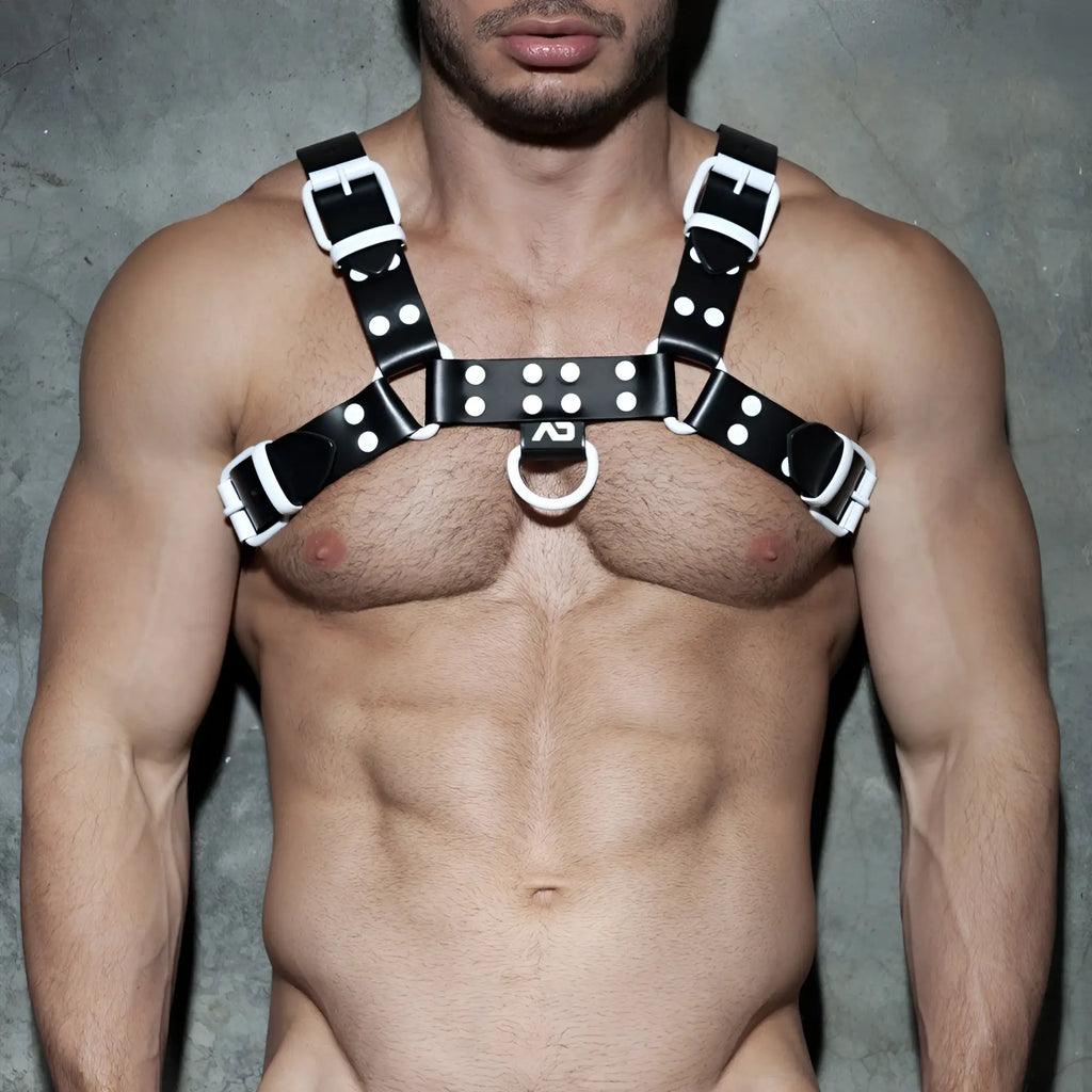Black leather color harness with white polka dots and silver toned metal hardware for stylish use
