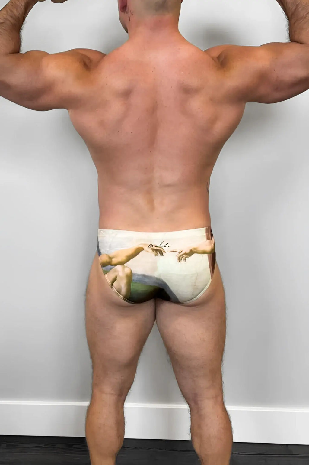 White cotton briefs with printed michelangelo the creation of adam design from the sistine chapel ceiling lovesick briefs hands