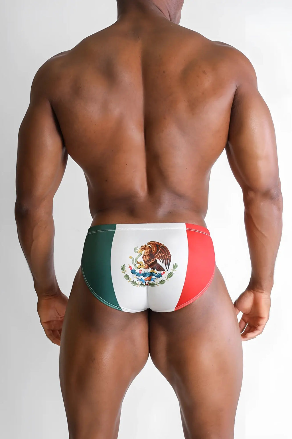 Lovesick briefs mexican flag featuring green white and red vertical stripes with the national emblem on front