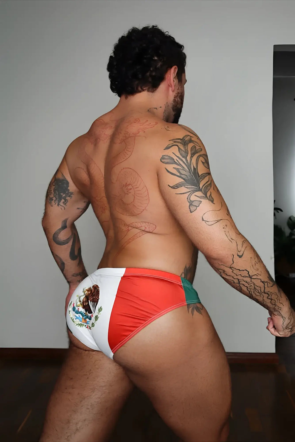 Lovesick briefs featuring red white and green mexican flag colors with embroidered national emblem on the left side